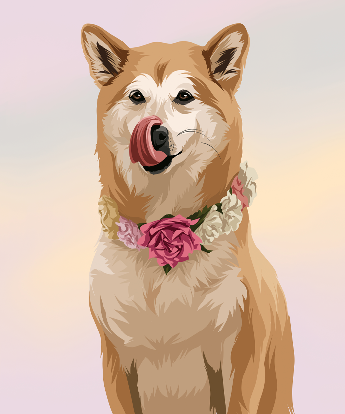 Ilustración personalizada